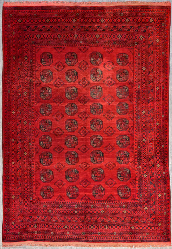 Vintage c.1960s Handknotted Rare Afghan Mazari rug w/ Madder Bark Derived Red - 300H x 200W