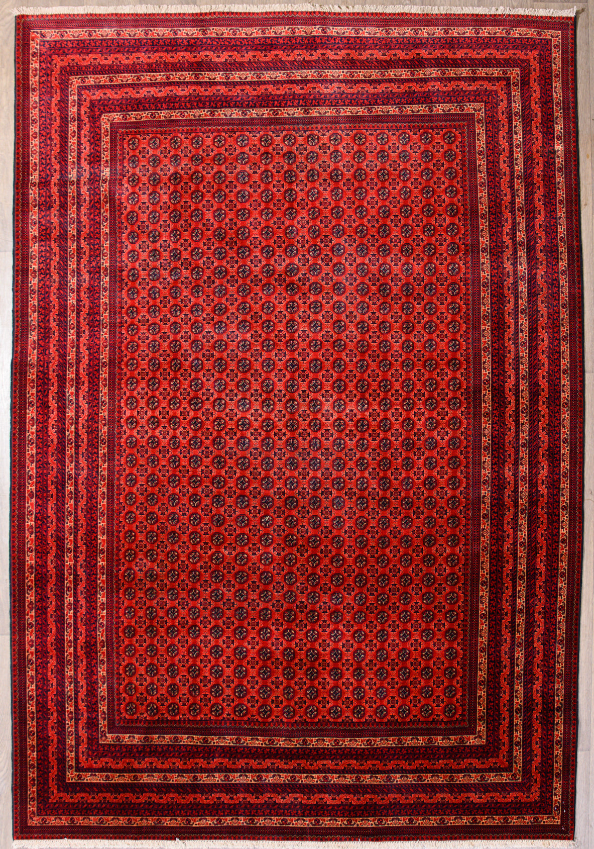 Deep Red Afghan Khoja Roshnai Wool Rug 292cm x 200cm