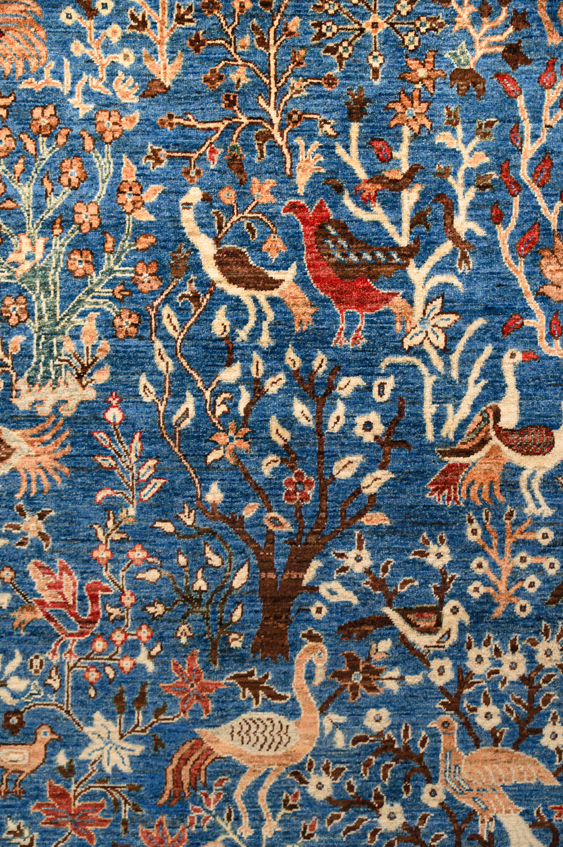 Blue Pictorial Afghan Chobi Wool Rug 364cm x 281cm