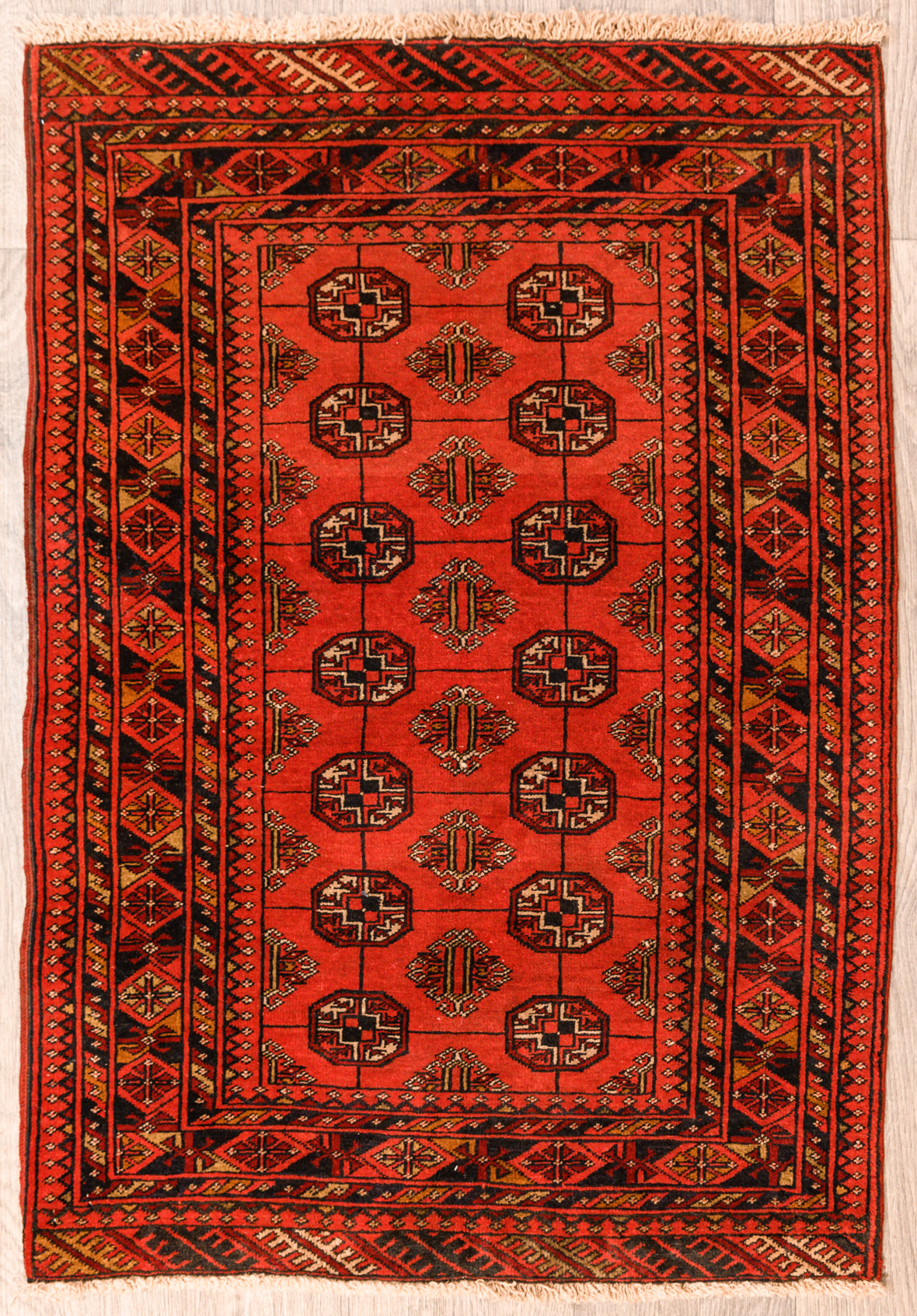 Red Afghan Turkoman Bokhara Wool Rug 161cm x 102cm a wide ornate  border with floral elements contains a madder red field of repeating tribal guls linked by a fine grid of lines